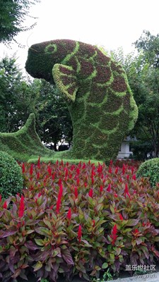 手機(jī)不拍照，街景都害臊。