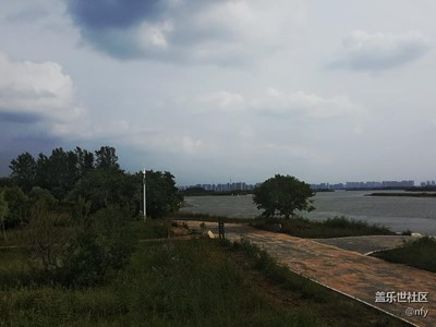 金河灣濕地
