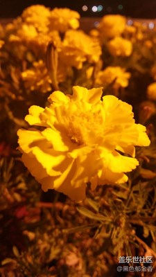 無后期原圖，老機型一樣拍到美麗