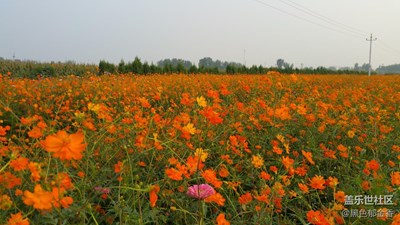 隨走隨拍，開始大片模式(粗糙原圖)