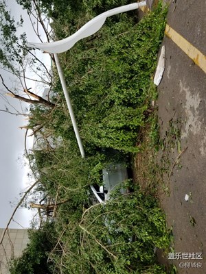 臺風(fēng)過后的廈門