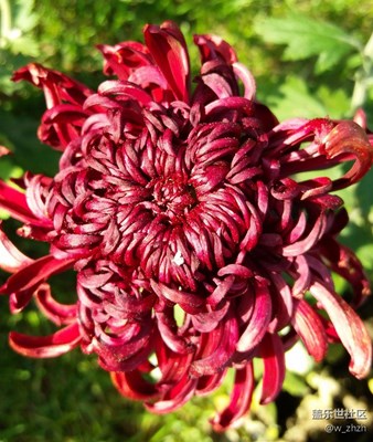 意外驚喜！發(fā)現(xiàn)在另外一塊卡里有。