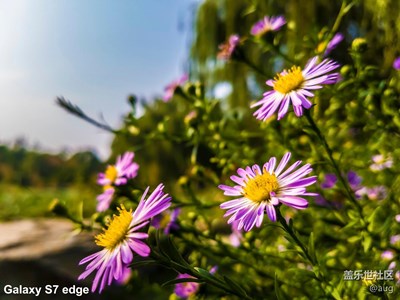 北京星部落中秋活動(dòng)隨拍貼