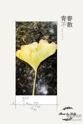 青春不散，不散青春