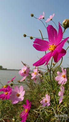 鏡頭總能發(fā)現(xiàn)美！