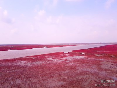 我的自駕之旅——第二站紅海灘廊道（愛情宣言廊）