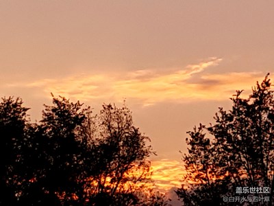 我的自駕之旅——第一站盤錦湖濱公園