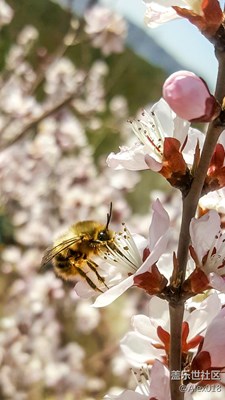 緬懷逝去的時光