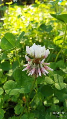 它們最愛秋天的陽光。