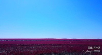 【帶著手機(jī)去撒歡兒】北上盤(pán)錦