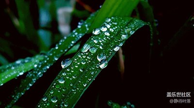 【帶著手機(jī)去撒歡兒】清晨如玉丟落凡間的露珠