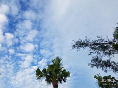 帶著手機(jī)去撒歡兒+我在廈門(mén)，廈門(mén)的天好藍(lán)