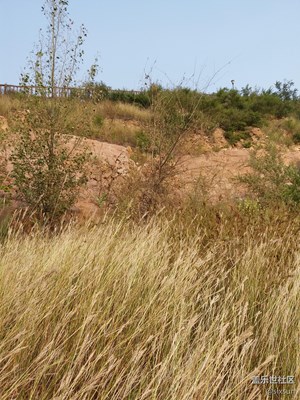 【帶著手機去撒歡兒】出門游玩