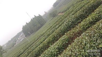 【帶著手機(jī)去撒歡兒】我來到你的城市