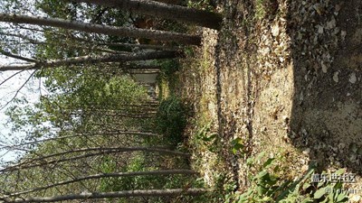 【帶著手機(jī)去撒歡兒】老家見聞