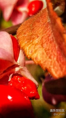 規(guī)矩是用來(lái)破的，經(jīng)驗(yàn)是從創(chuàng)新發(fā)展來(lái)的。