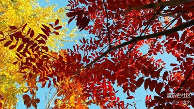 物質(zhì)、精神食量雙豐收