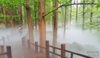 去看云霧繚繞的童話世界