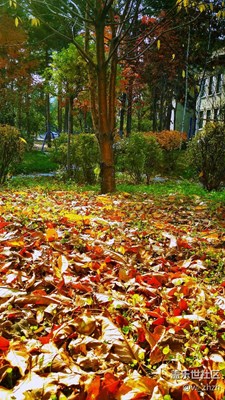 換個角度就出彩！