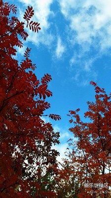 云永遠(yuǎn)是哪樣叫鏡頭著魔。