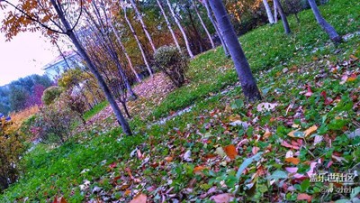 放膽這樣拍，笑不笑由你。????