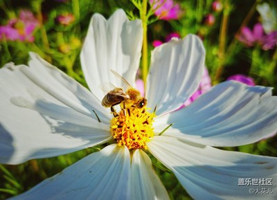 ～一蟲一世界～