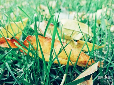 【一葉知秋】+北京+拾秋