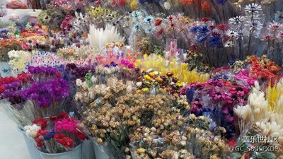 花市隨拍2