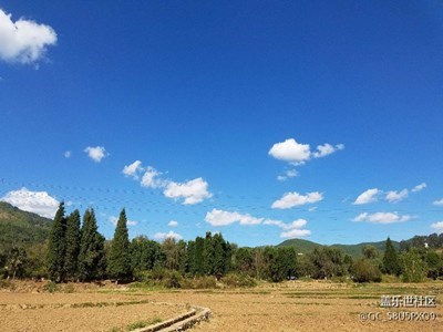看了大家的分享，我也來發(fā)幾張