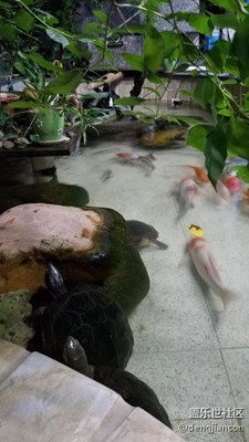 再來幾張S7 Edge的拍攝圖