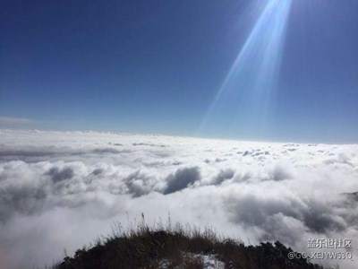 很久以前拍的照片了拿出來分享一下！