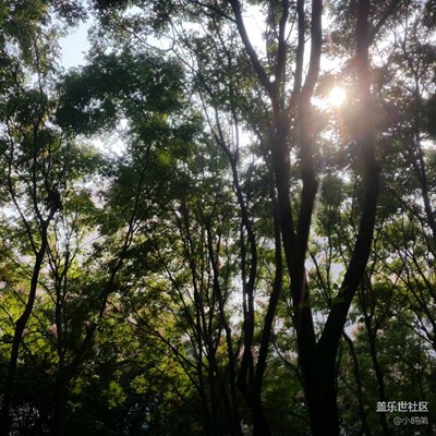 2016線下活動(dòng)，上海站。