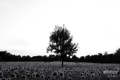 【黑白影像】+北京+極簡(jiǎn)