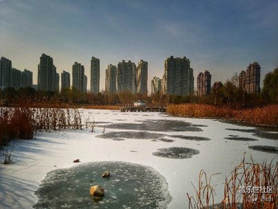 我的作業(yè)，敬請(qǐng)大家批改。