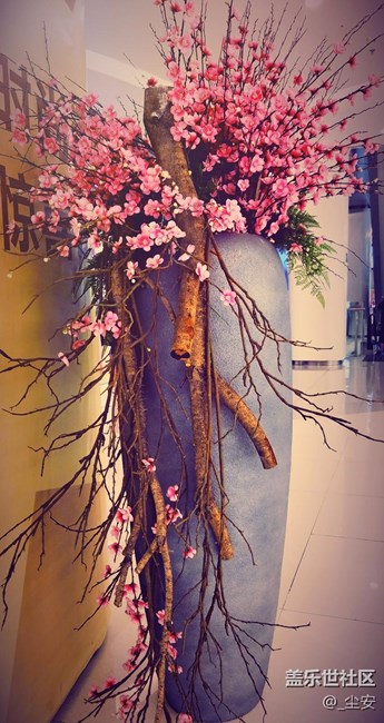 【攝影】日常隨拍，藝術(shù)之花