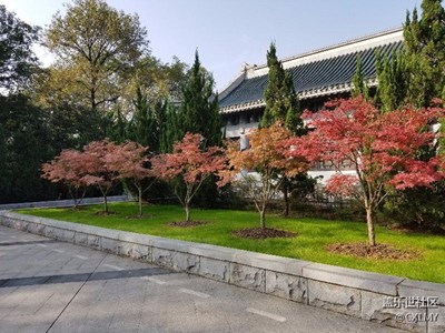 隨拍