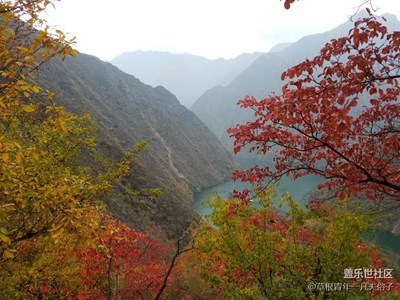 秋風(fēng)掃落葉