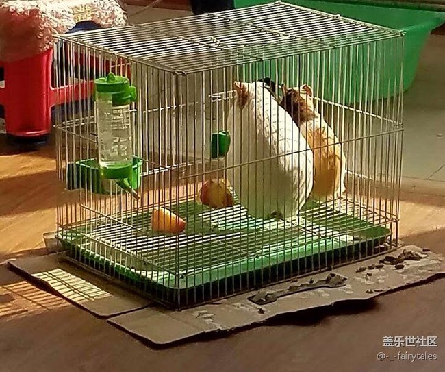 新買的內(nèi)存卡，你們都是怎么把軟件搬家，相冊移動到內(nèi)存卡的