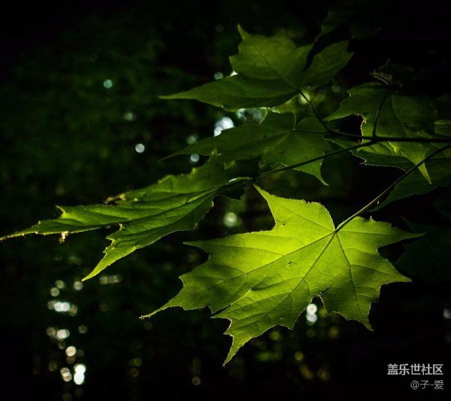 超級(jí)漂亮2k高清壁紙