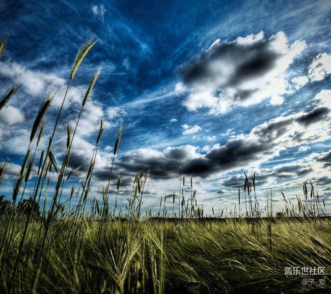 超級(jí)漂亮2k高清壁紙