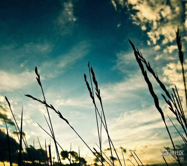 超級(jí)漂亮2k高清壁紙