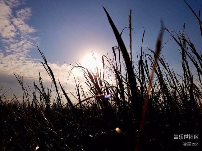 每周精帖匯【第30期：S7 edge粉藍不降溫 7.0初體驗來襲！】