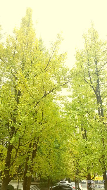 深秋，測試Note5的美圖效果