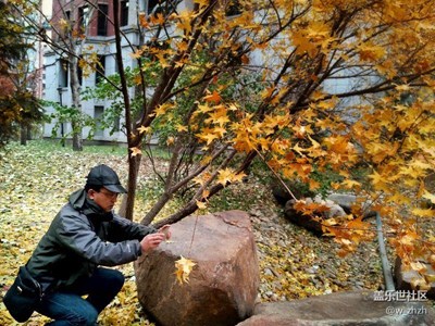【霜葉紅于二月花】+哈爾濱 +童話般的故事