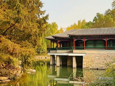 【霜葉紅于二月花】+北京+中山公園銀杏古道，潑金嵌紅的誘惑