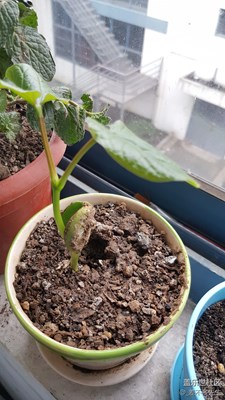 成長中，一切靜好