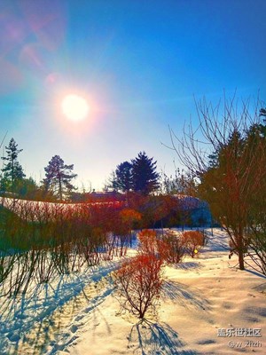 紅妝素裹北國情。