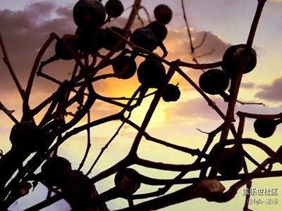 都市也有別樣的美