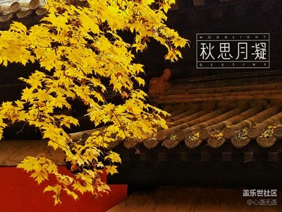 【霜葉紅于二月花】+北京+秋風(fēng)至，靜看片片楓葉情