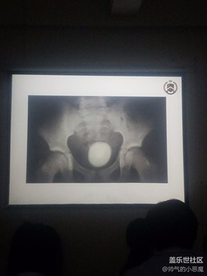 學(xué)醫(yī)看片